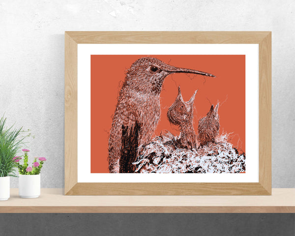 Hummingbirds Drawing Digital Art Print