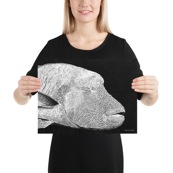 Humphead Wrasse Art Print