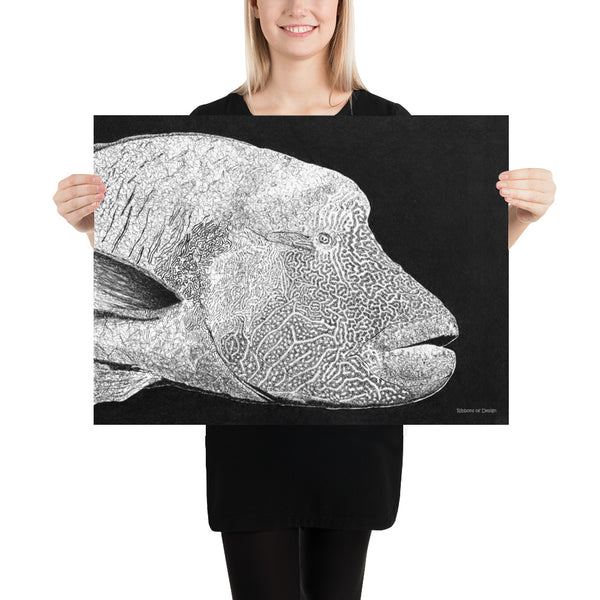 Humphead Wrasse Art Print