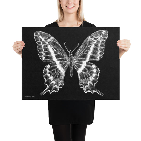 Schaus Swallowtail Art Print