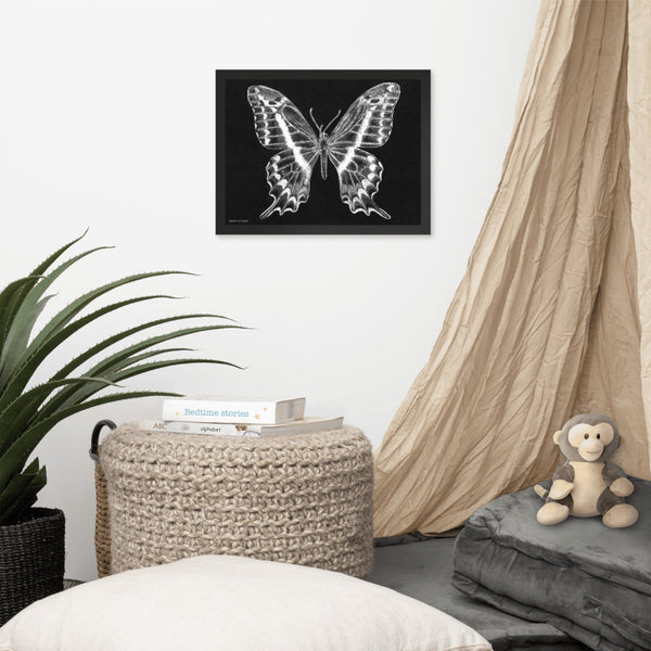 Schaus Swallowtail Art Print