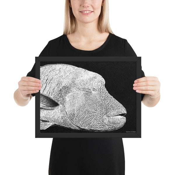 Humphead Wrasse Art Print