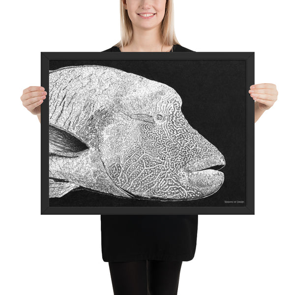 Humphead Wrasse Art Print