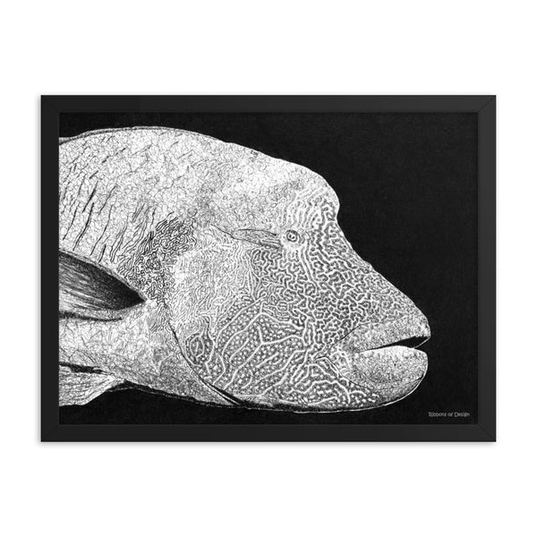 Humphead Wrasse Art Print