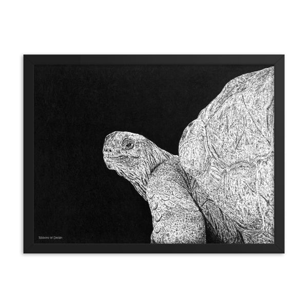 Giant Tortoise Art Print