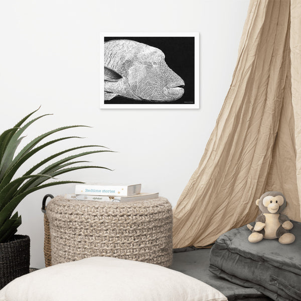Humphead Wrasse Art Print