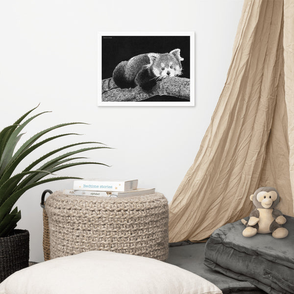 Red Panda Art Print