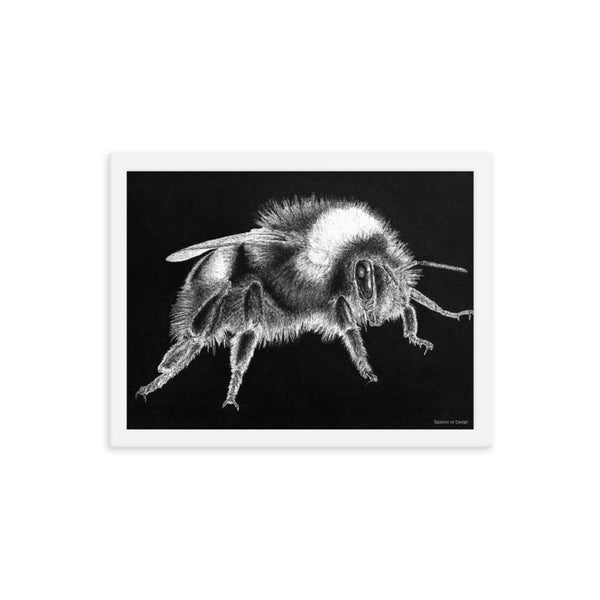 Bumblebee Art Print