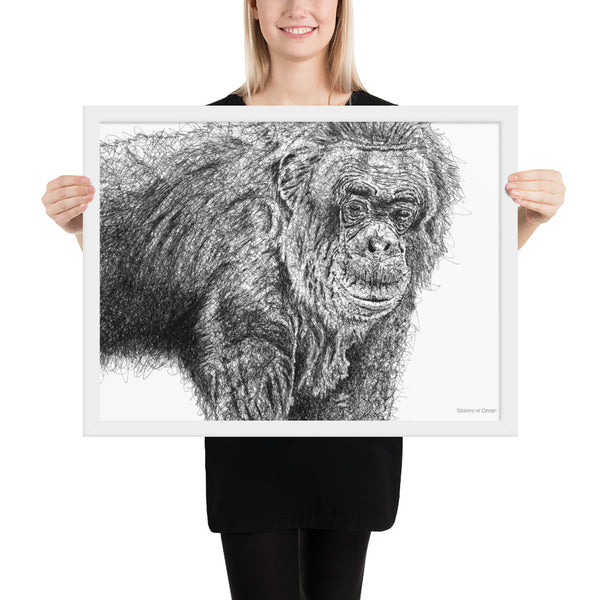 Chimpanzee Art Print