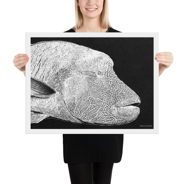 Humphead Wrasse Art Print
