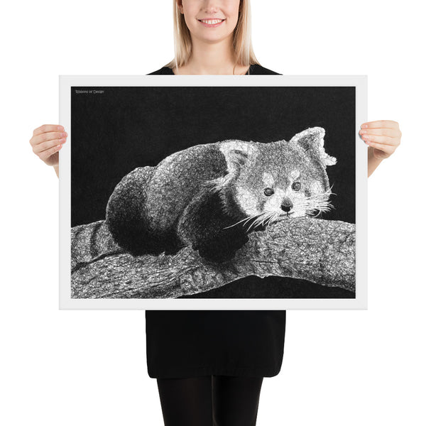 Red Panda Art Print