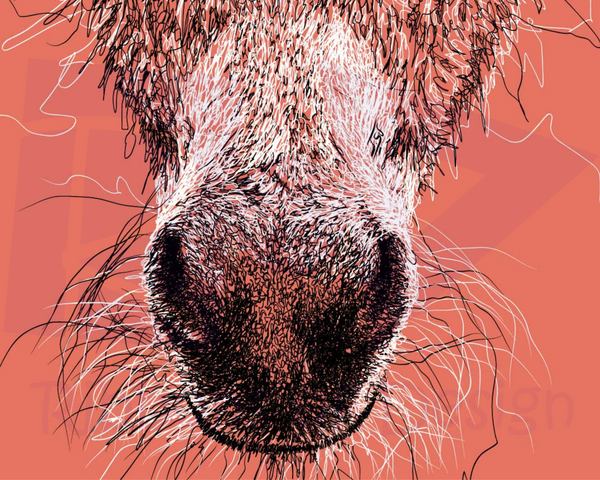 Donkey Drawing Digital Art Print