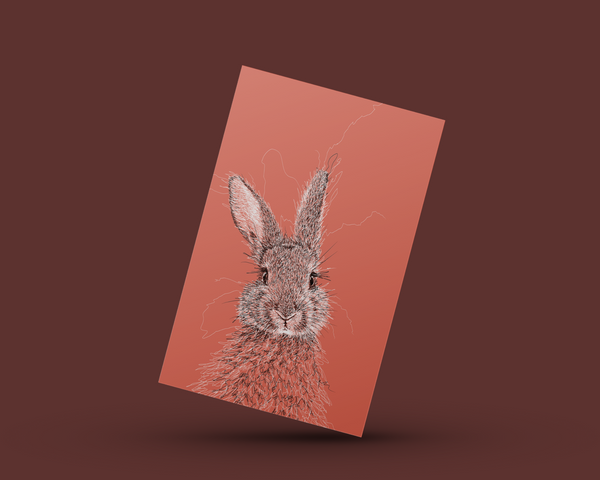 Bunny Drawing Digital Art Print