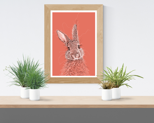 Bunny Drawing Digital Art Print