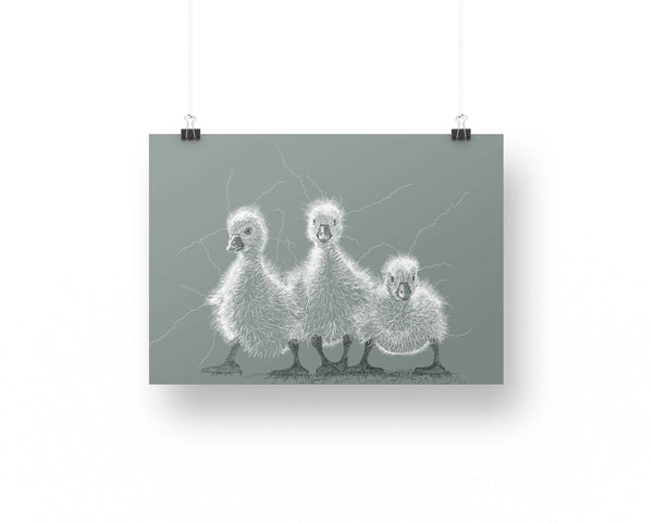 Duckling Drawing Digital Art Print