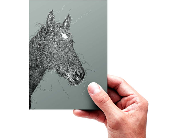 Horse Drawing Digital Art Print