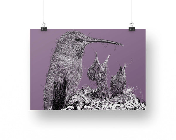 Hummingbirds Drawing Digital Art Print