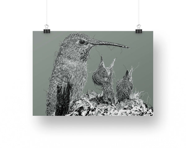 Hummingbirds Drawing Digital Art Print