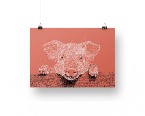 Piglet Drawing Digital Art Print