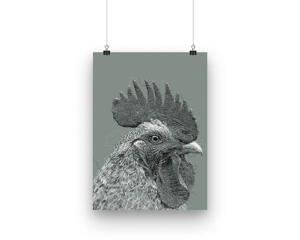 Rooster Drawing Digital Art Print