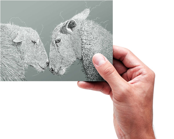 Sheep Drawing Digital Art Print