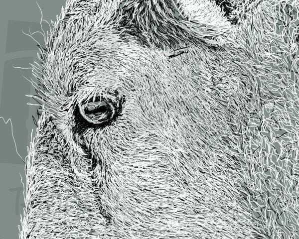 Sheep Drawing Digital Art Print