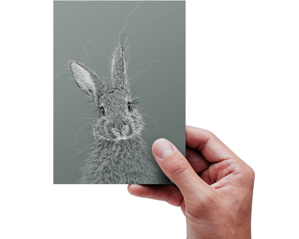 Bunny Drawing Digital Art Print