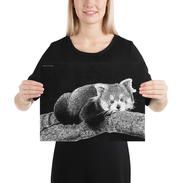 Red Panda Art Print