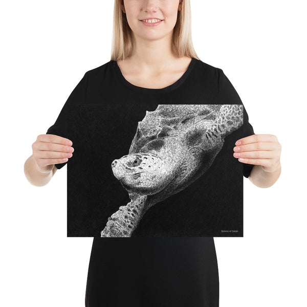 Hawksbill Turtle Art Print