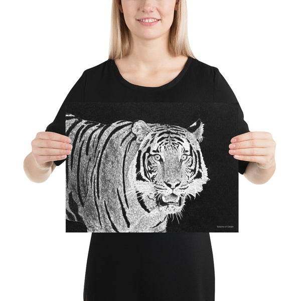 Sunda Tiger Art Print