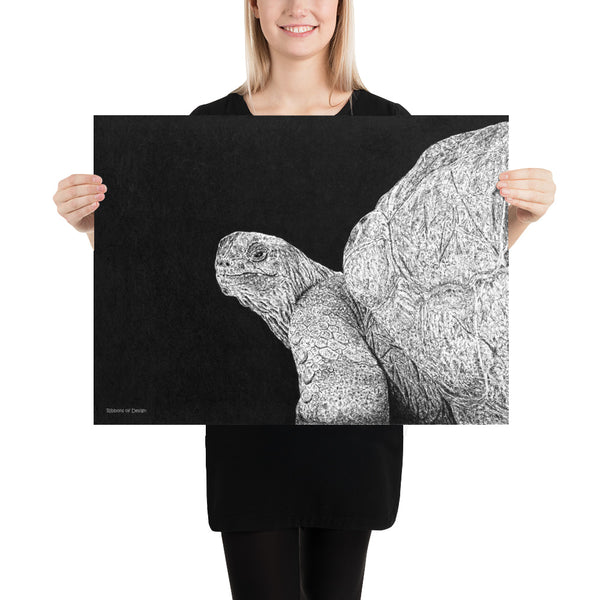 Giant Tortoise Art Print