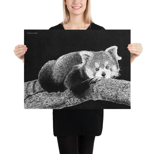 Red Panda Art Print