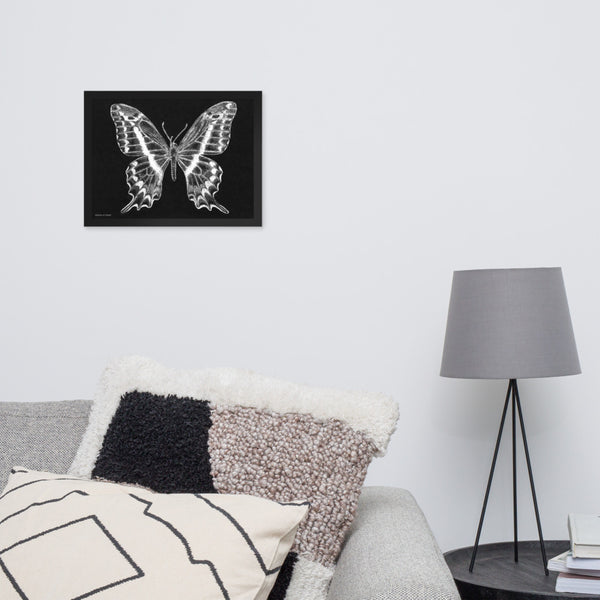 Schaus Swallowtail Art Print