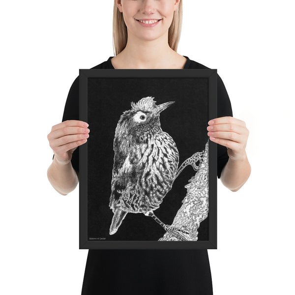 Akohekohe Bird Art Print