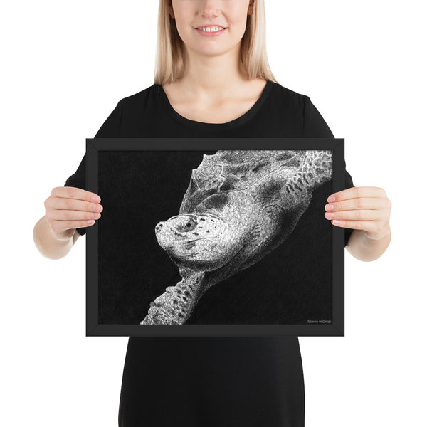 Hawksbill Turtle Art Print