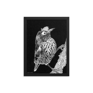 Akohekohe Bird Art Print