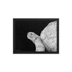 Giant Tortoise Art Print