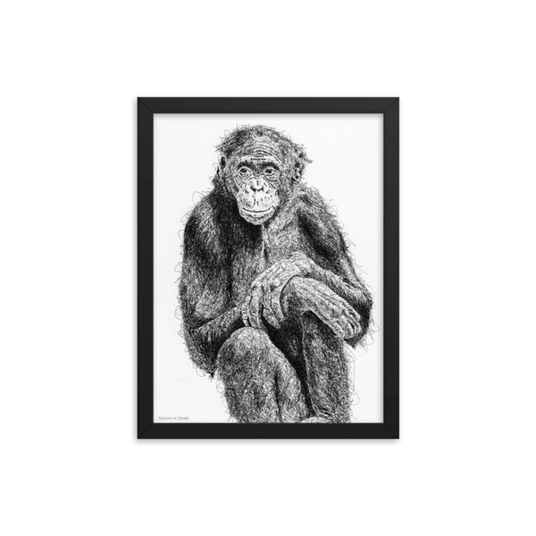 Bonobo Art Print