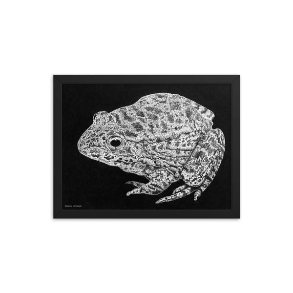 Mississippi Gopher Frog Art Print