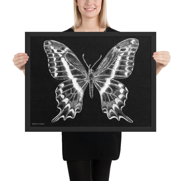 Schaus Swallowtail Art Print