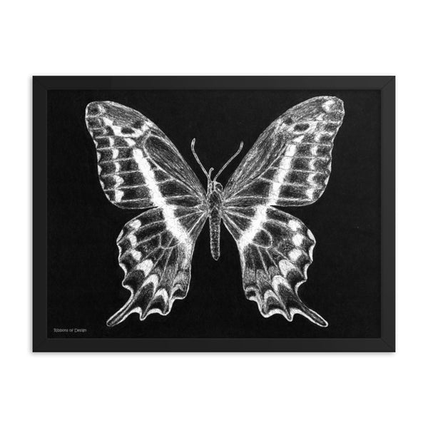 Schaus Swallowtail Art Print