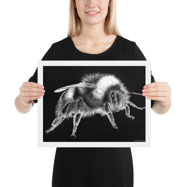 Bumblebee Art Print