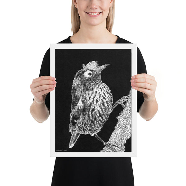 Akohekohe Bird Art Print