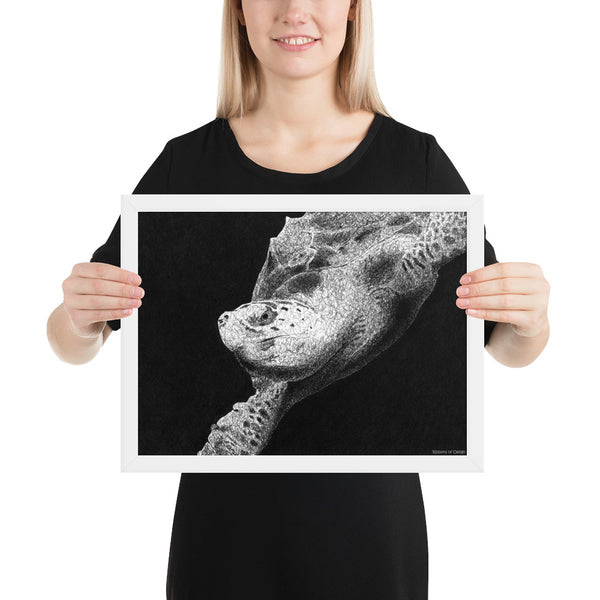 Hawksbill Turtle Art Print