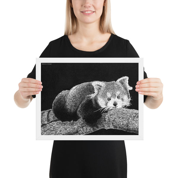 Red Panda Art Print