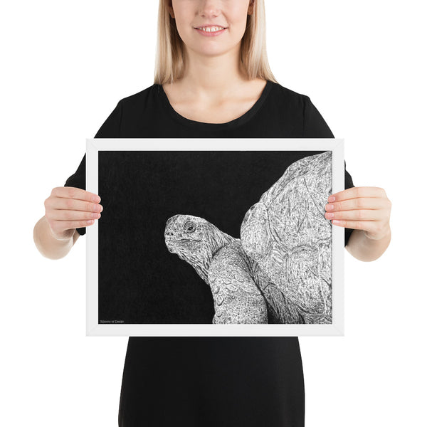 Giant Tortoise Art Print