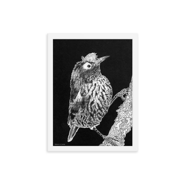 Akohekohe Bird Art Print