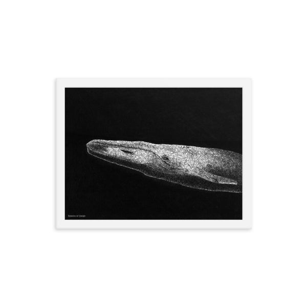 Blue Whale Art Print