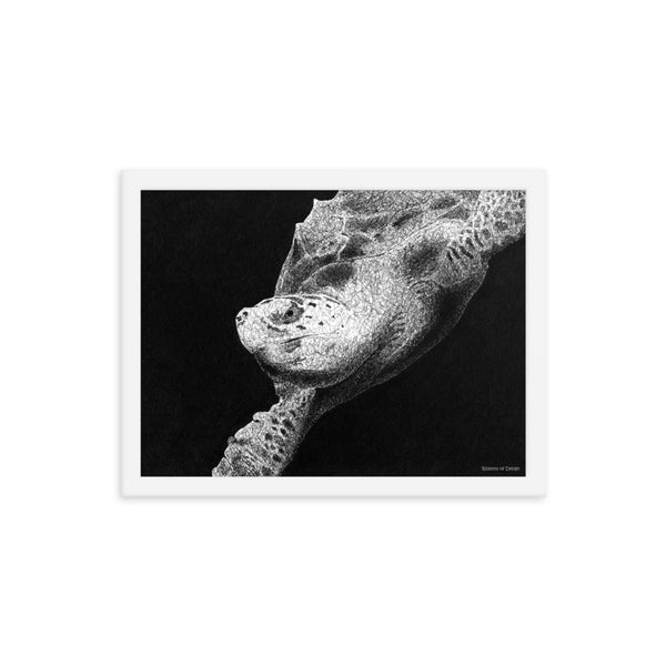 Hawksbill Turtle Art Print