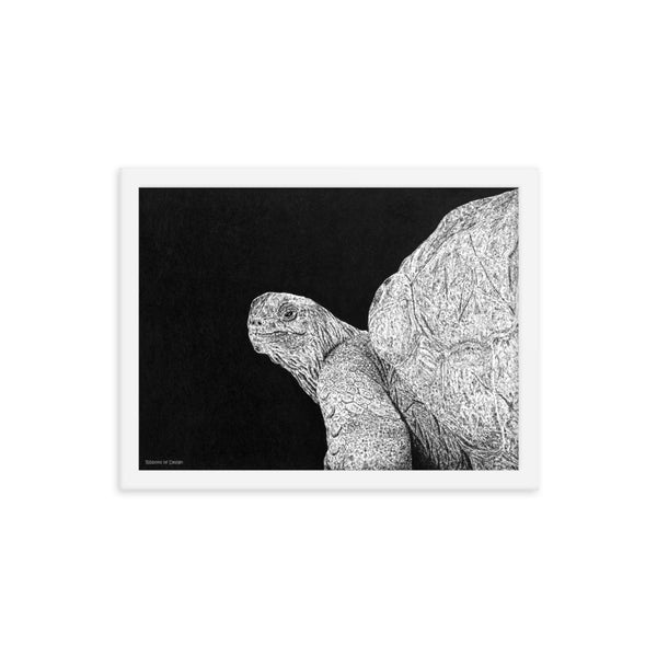 Giant Tortoise Art Print